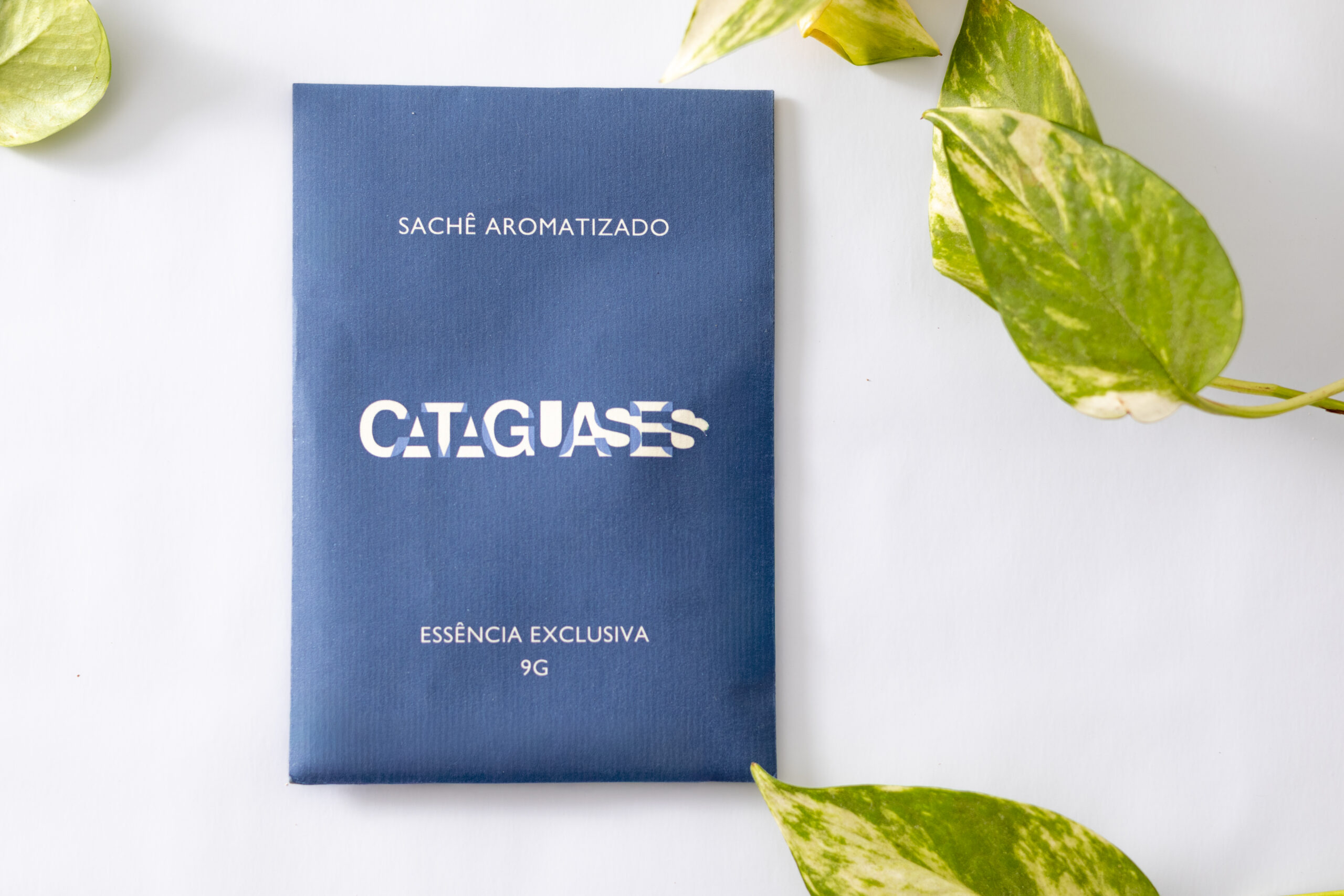 Cataguases